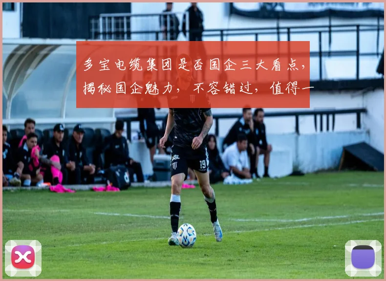 多宝电缆集团是否国企三大看点，揭秘国企魅力，不容错过，值得一看