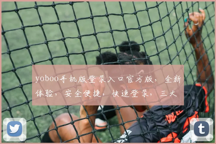 yoboo手机版登录入口官方版，全新体验，安全便捷，快速登录，三大亮点