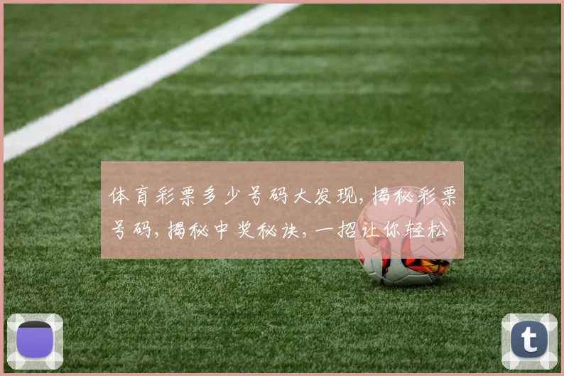 体育彩票多少号码大发现,揭秘彩票号码,揭秘中奖秘诀,一招让你轻松破解