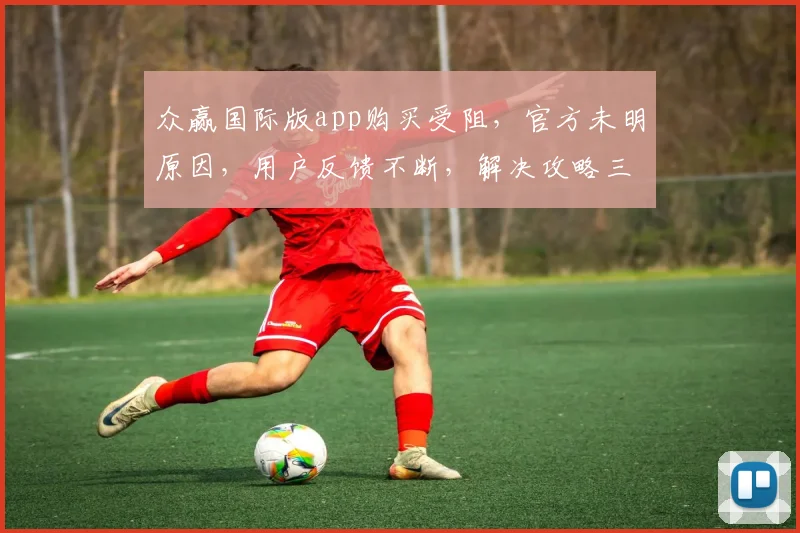 众赢国际版app购买受阻，官方未明原因，用户反馈不断，解决攻略三步走，快看逗逗