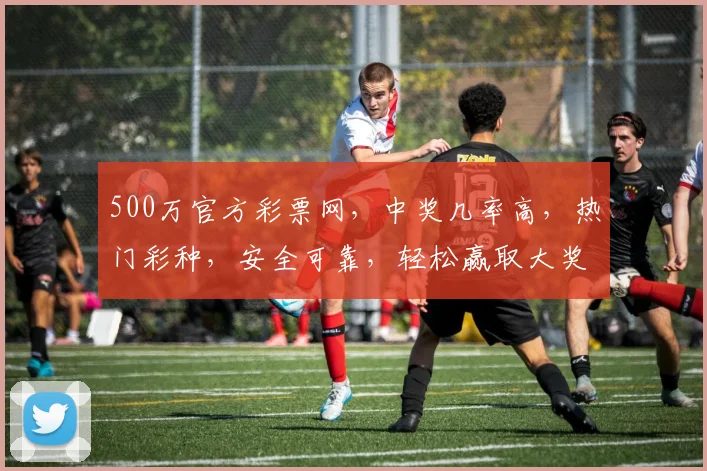 500万官方彩票网，中奖几率高，热门彩种，安全可靠，轻松赢取大奖，不容错过