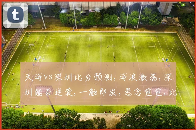 天海vs深圳比分预测,海浪激荡,深圳能否逆袭,一触即发,悬念重重,比分几何