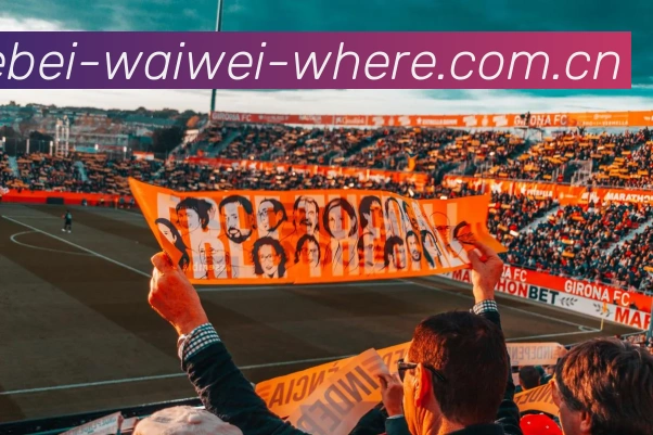 世界杯外围哪里买APP 封面图